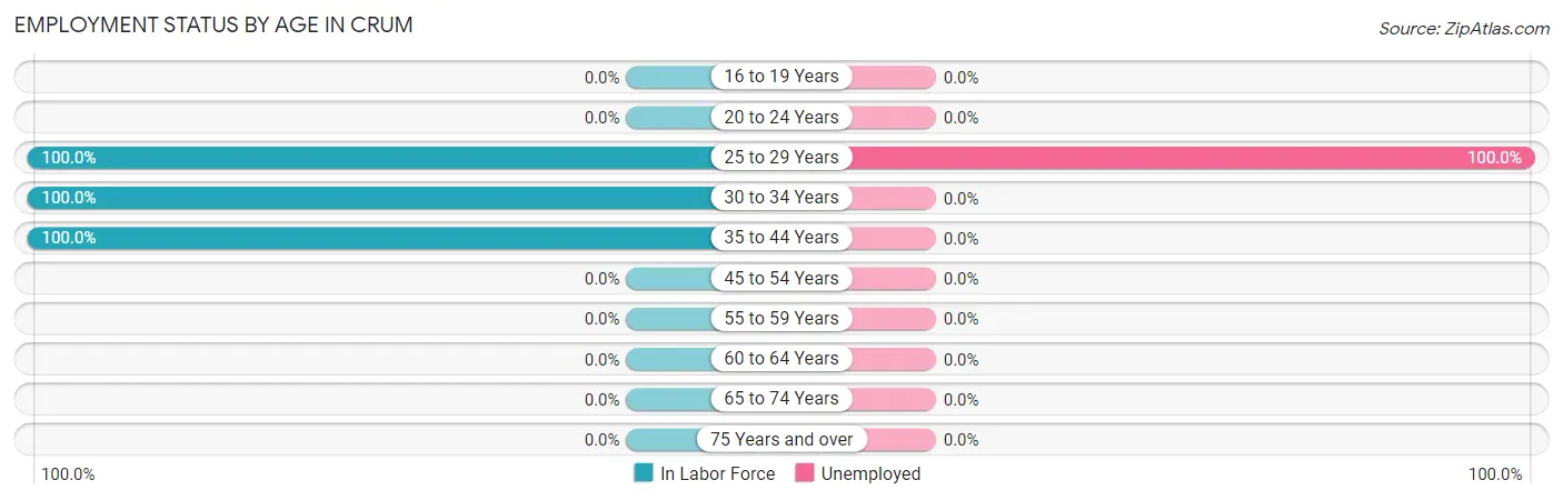 Employment Status by Age in Crum