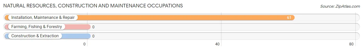 Natural Resources, Construction and Maintenance Occupations in Culloden