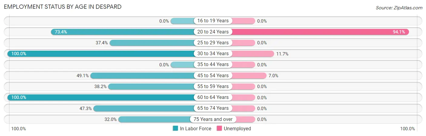Employment Status by Age in Despard