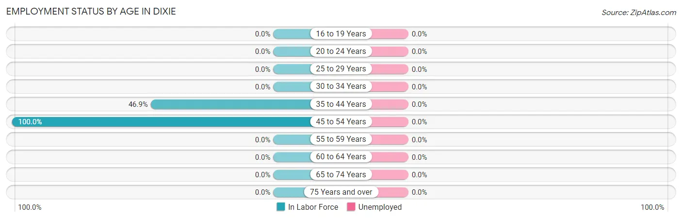 Employment Status by Age in Dixie