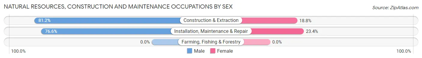 Natural Resources, Construction and Maintenance Occupations by Sex in Dunbar