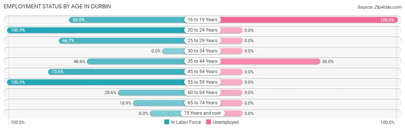 Employment Status by Age in Durbin