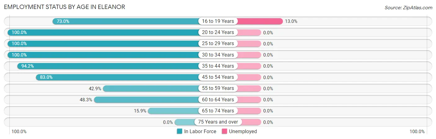 Employment Status by Age in Eleanor