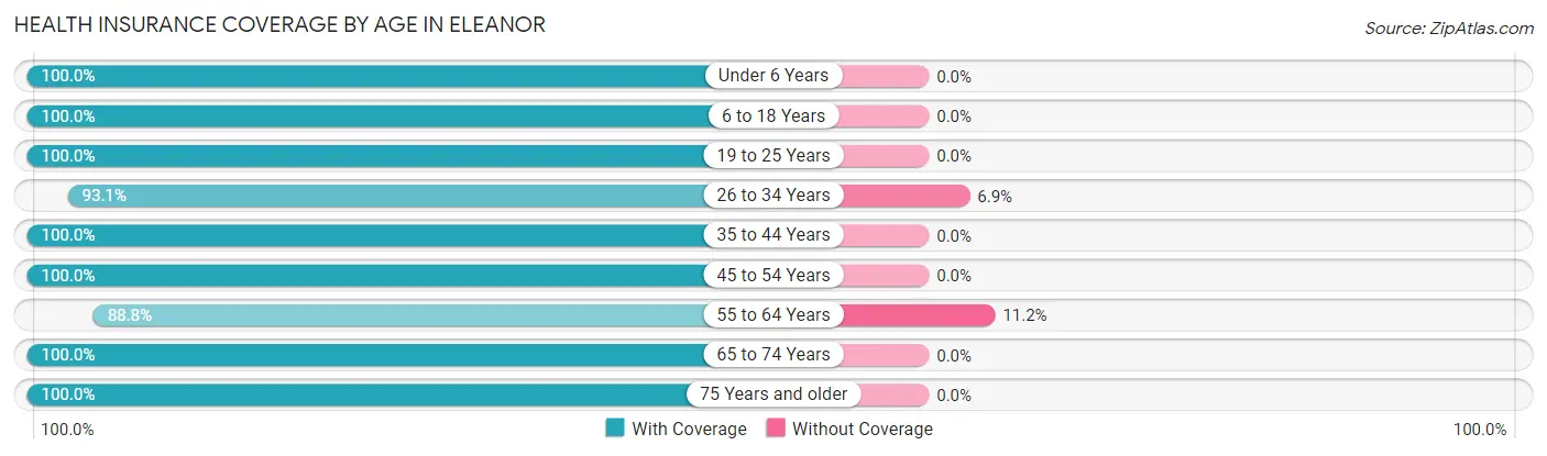Health Insurance Coverage by Age in Eleanor