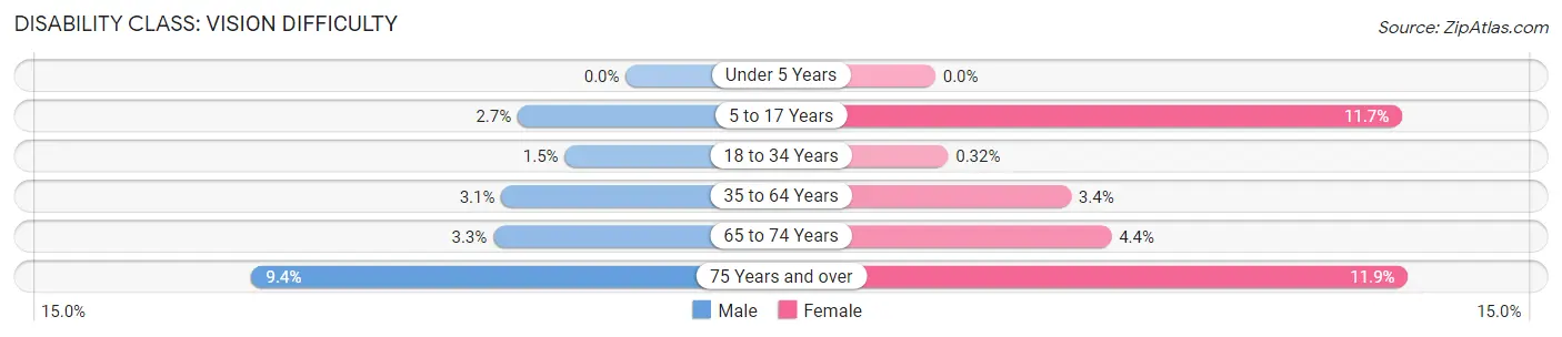 Disability in Elkins: <span>Vision Difficulty</span>