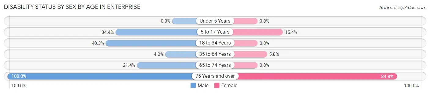 Disability Status by Sex by Age in Enterprise