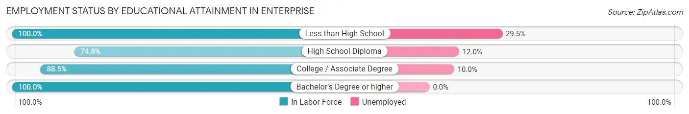Employment Status by Educational Attainment in Enterprise
