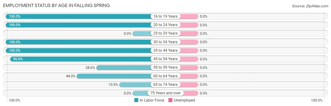 Employment Status by Age in Falling Spring