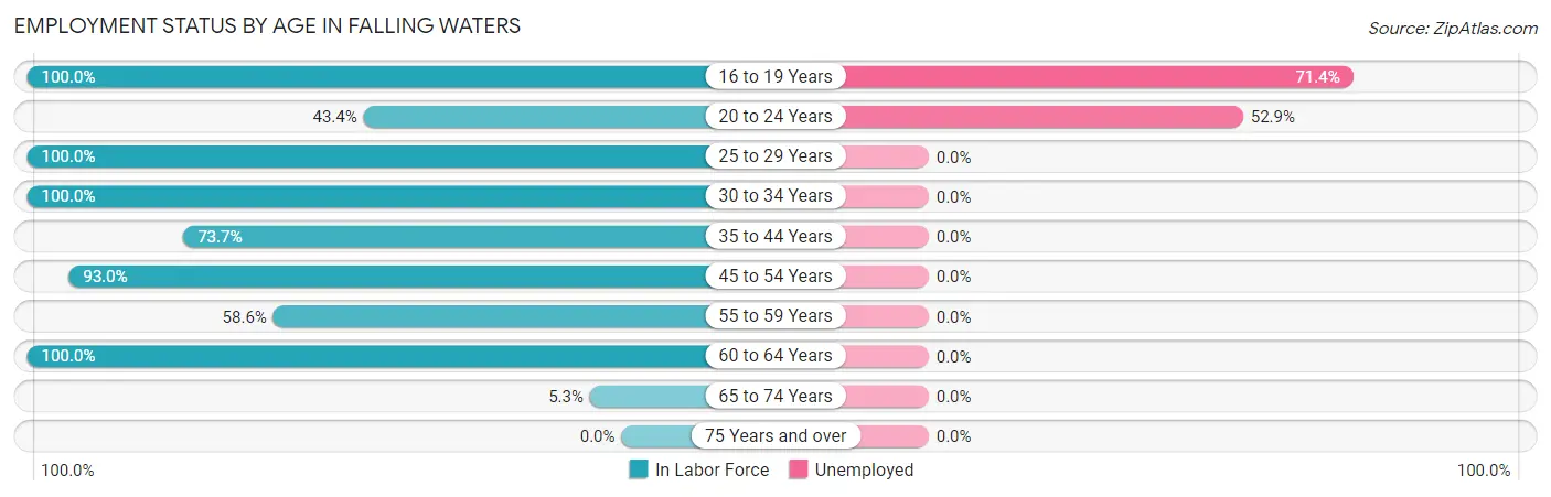 Employment Status by Age in Falling Waters