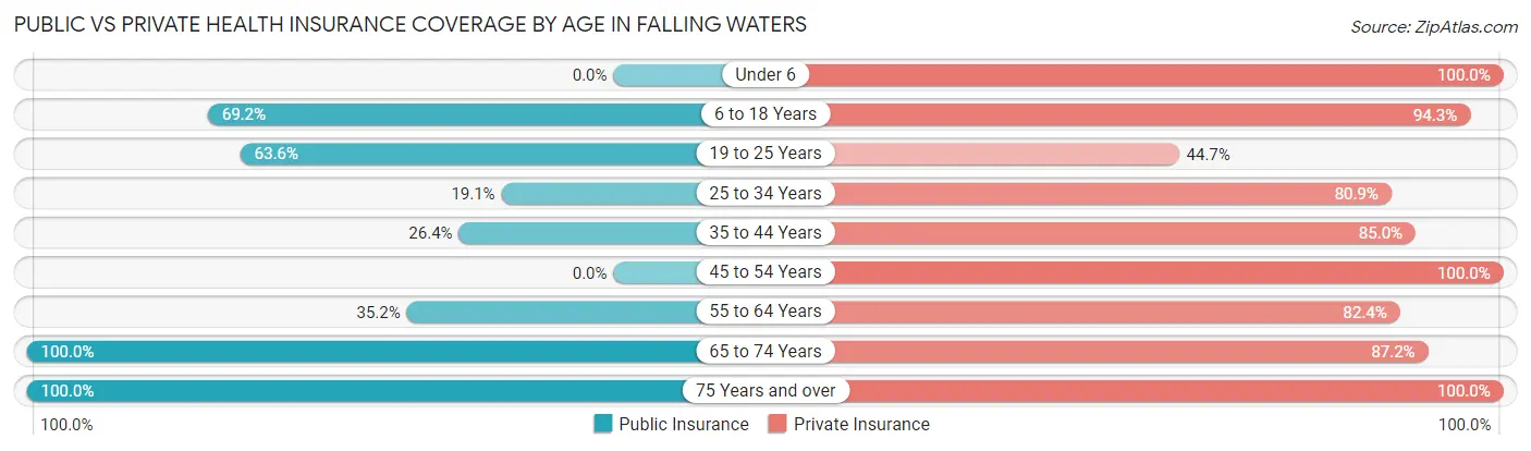Public vs Private Health Insurance Coverage by Age in Falling Waters