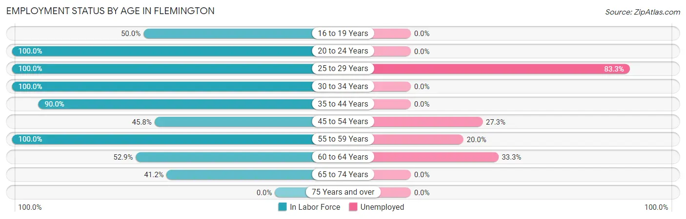 Employment Status by Age in Flemington