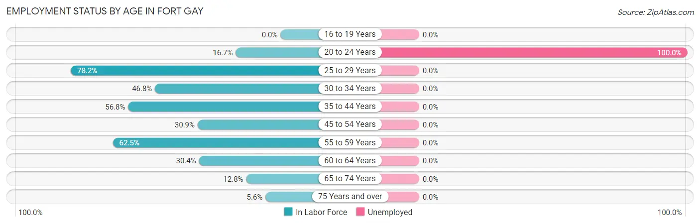 Employment Status by Age in Fort Gay
