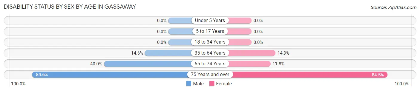 Disability Status by Sex by Age in Gassaway
