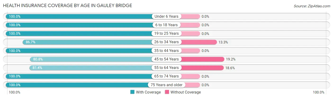 Health Insurance Coverage by Age in Gauley Bridge