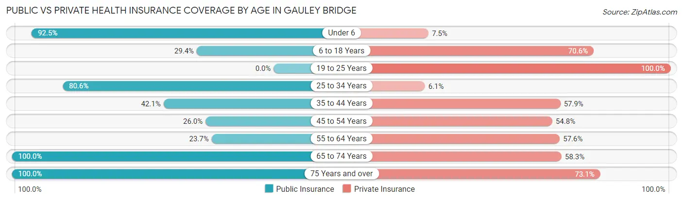 Public vs Private Health Insurance Coverage by Age in Gauley Bridge