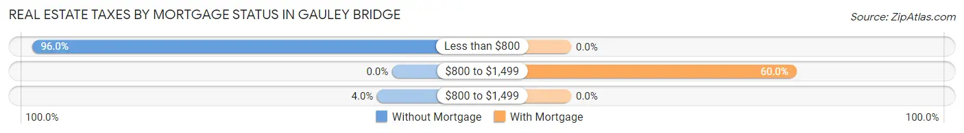Real Estate Taxes by Mortgage Status in Gauley Bridge