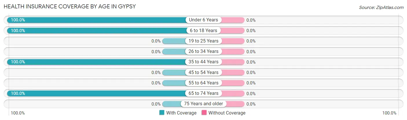Health Insurance Coverage by Age in Gypsy