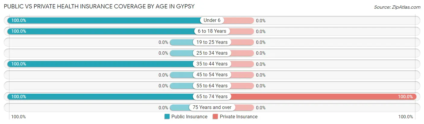 Public vs Private Health Insurance Coverage by Age in Gypsy