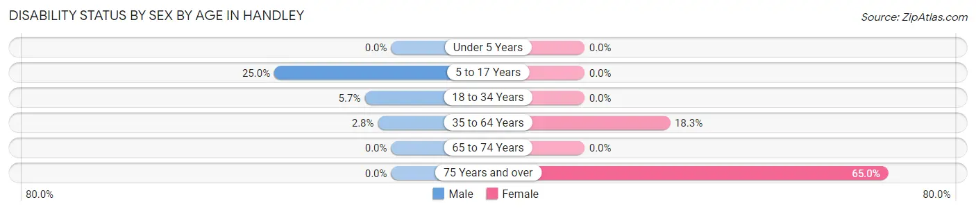 Disability Status by Sex by Age in Handley