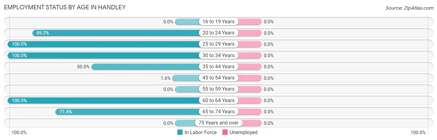 Employment Status by Age in Handley