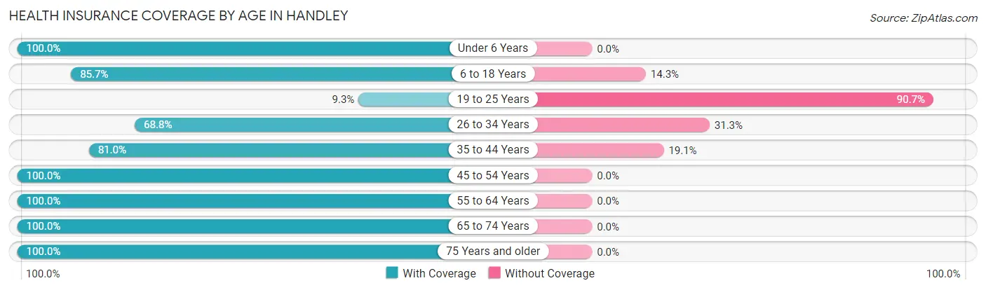 Health Insurance Coverage by Age in Handley