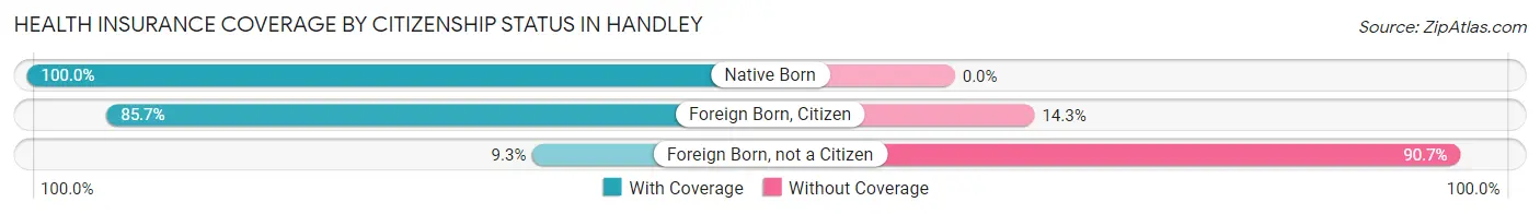 Health Insurance Coverage by Citizenship Status in Handley