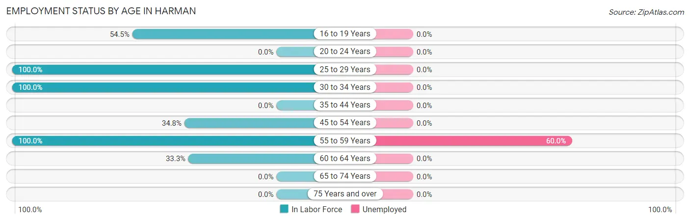 Employment Status by Age in Harman