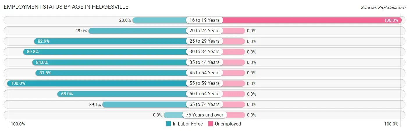 Employment Status by Age in Hedgesville