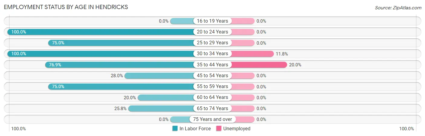 Employment Status by Age in Hendricks