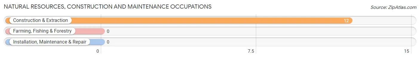 Natural Resources, Construction and Maintenance Occupations in Hendricks