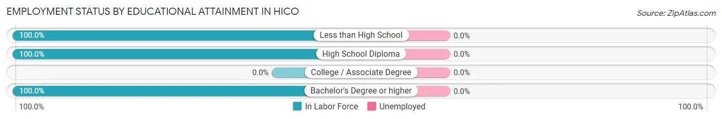 Employment Status by Educational Attainment in Hico