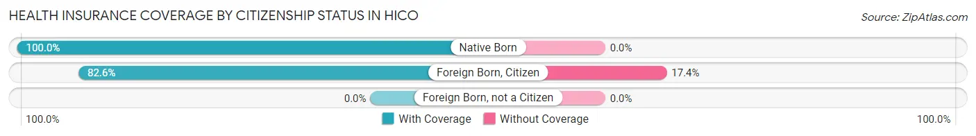 Health Insurance Coverage by Citizenship Status in Hico