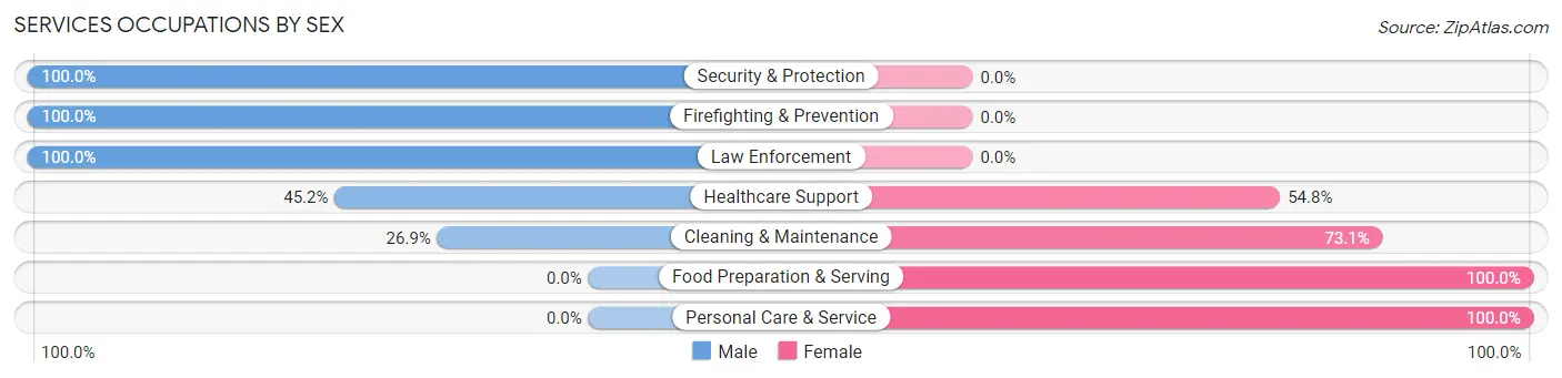 Services Occupations by Sex in Hinton