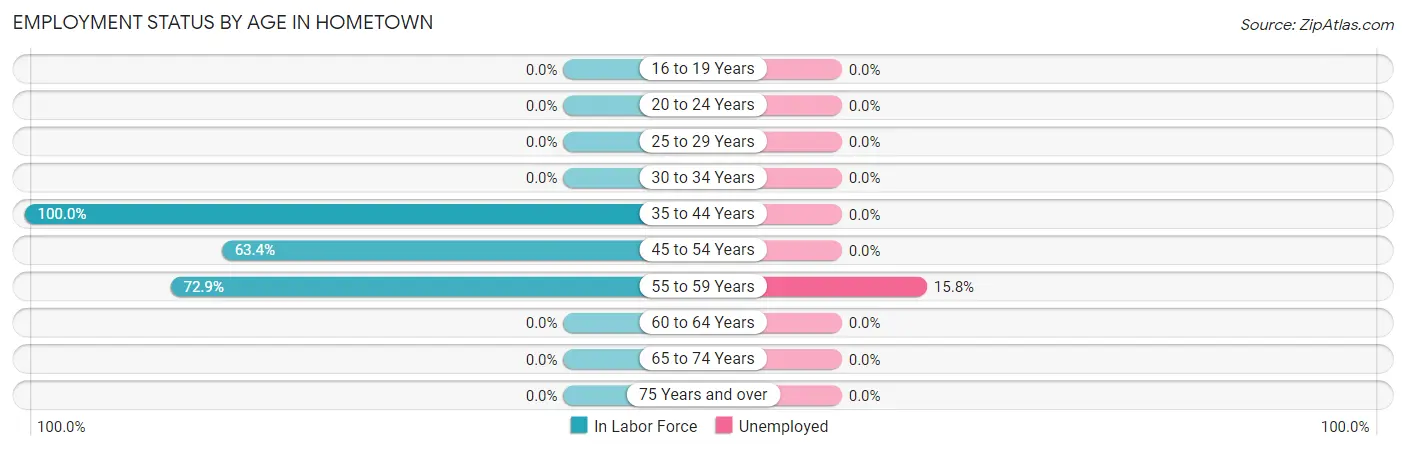 Employment Status by Age in Hometown