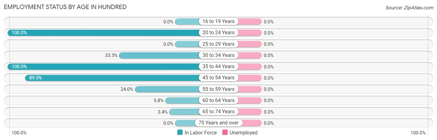 Employment Status by Age in Hundred