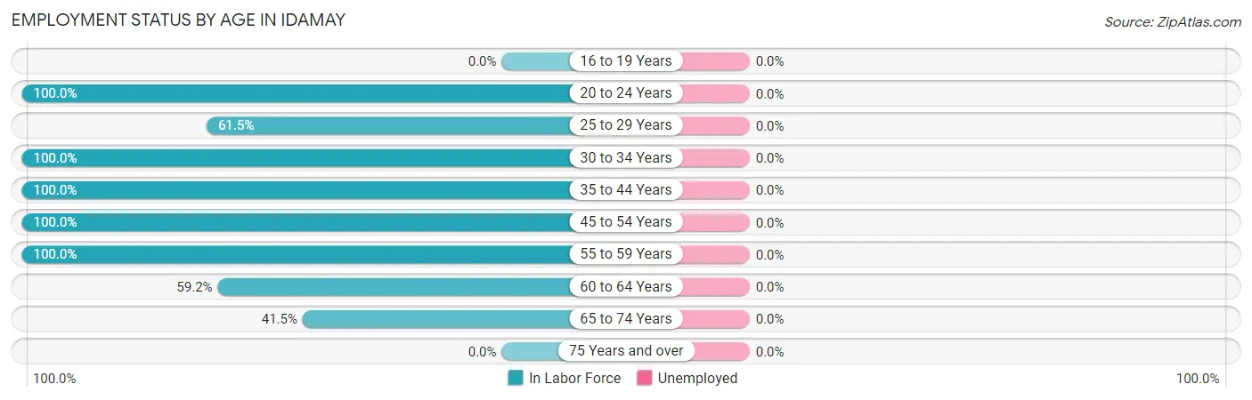 Employment Status by Age in Idamay