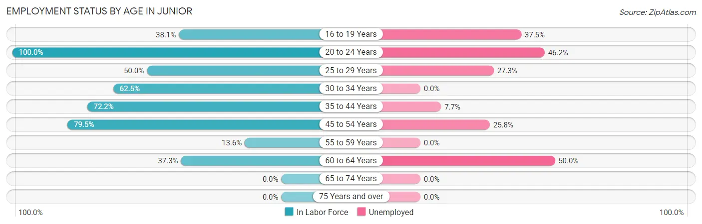 Employment Status by Age in Junior