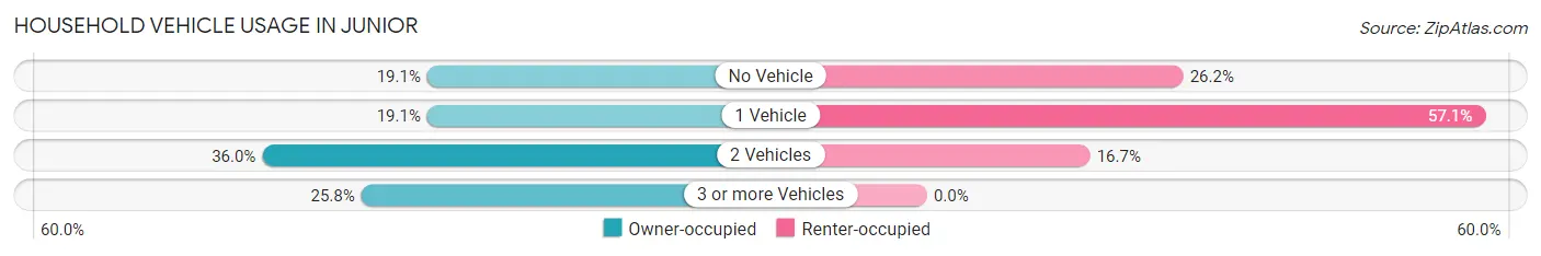 Household Vehicle Usage in Junior