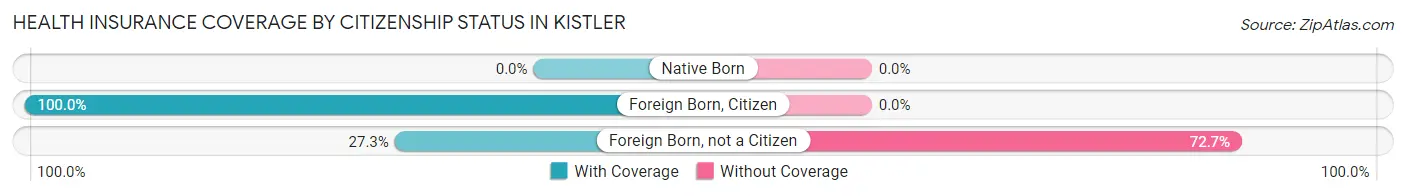 Health Insurance Coverage by Citizenship Status in Kistler