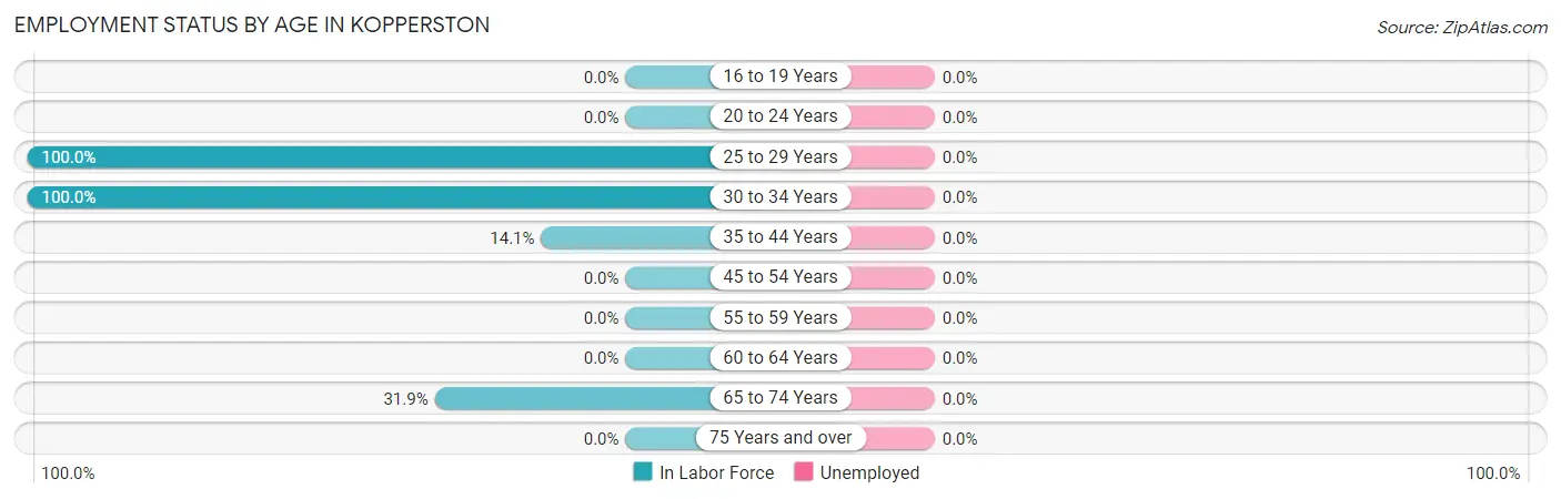 Employment Status by Age in Kopperston