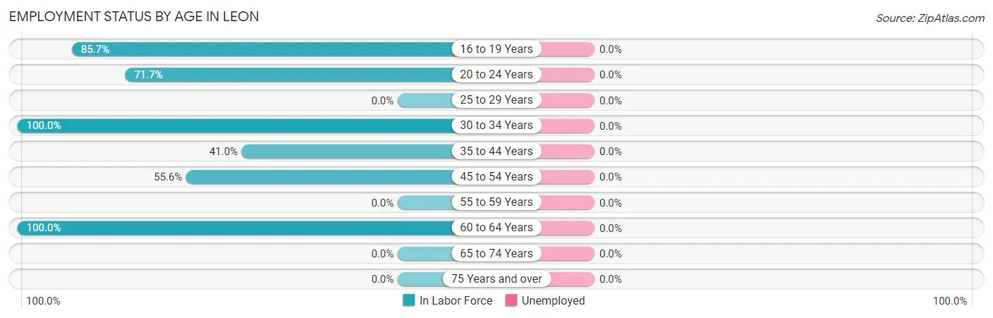 Employment Status by Age in Leon
