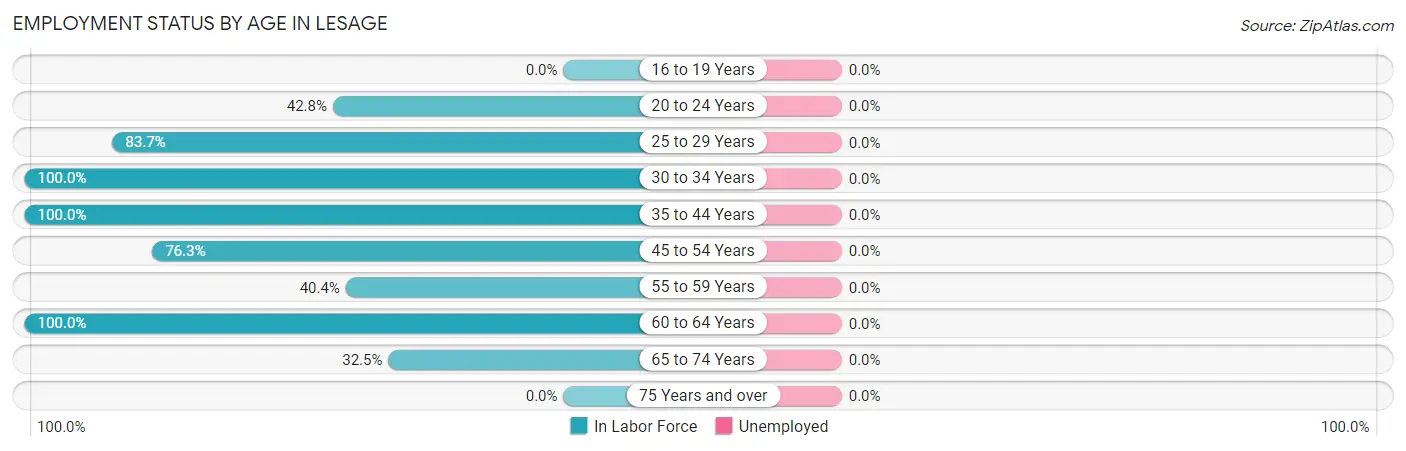 Employment Status by Age in Lesage