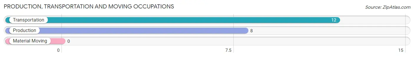 Production, Transportation and Moving Occupations in Man