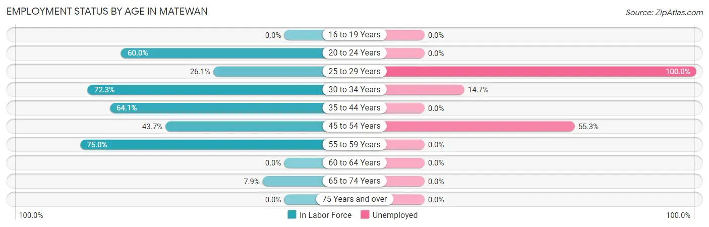 Employment Status by Age in Matewan