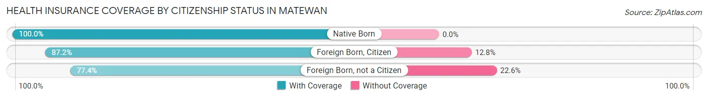 Health Insurance Coverage by Citizenship Status in Matewan