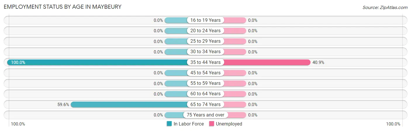 Employment Status by Age in Maybeury