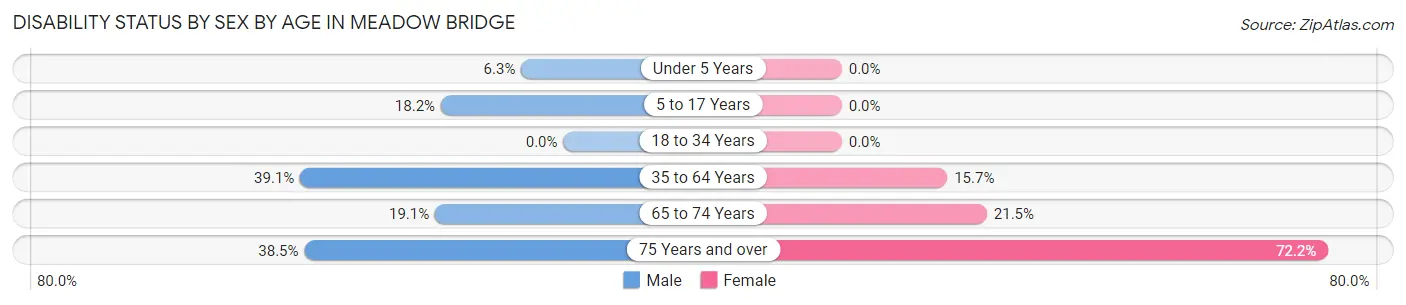 Disability Status by Sex by Age in Meadow Bridge
