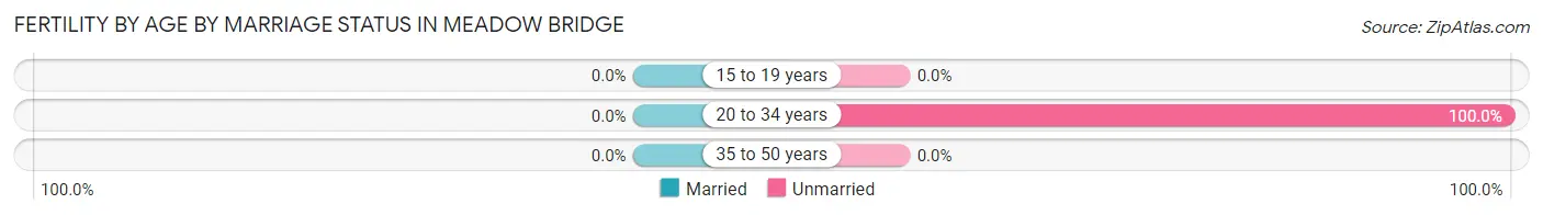 Female Fertility by Age by Marriage Status in Meadow Bridge
