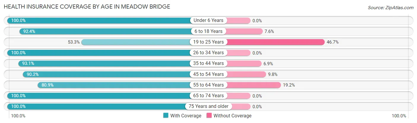 Health Insurance Coverage by Age in Meadow Bridge