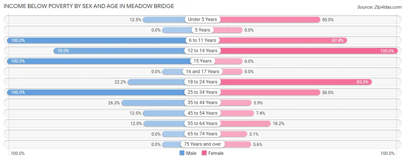 Income Below Poverty by Sex and Age in Meadow Bridge